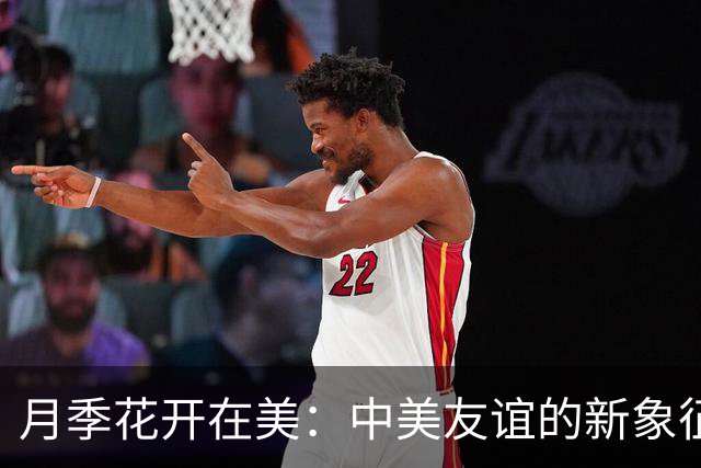 月季花开在美：中美友谊的新象征与故事